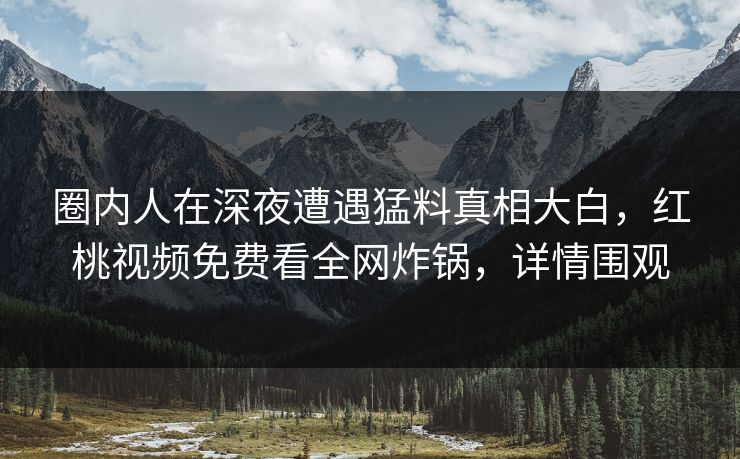 圈内人在深夜遭遇猛料真相大白，红桃视频免费看全网炸锅，详情围观