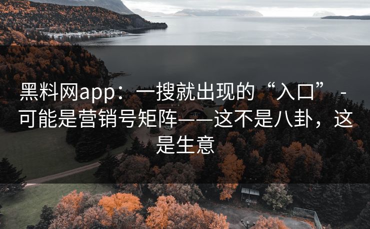 黑料网app：一搜就出现的“入口” - 可能是营销号矩阵——这不是八卦，这是生意